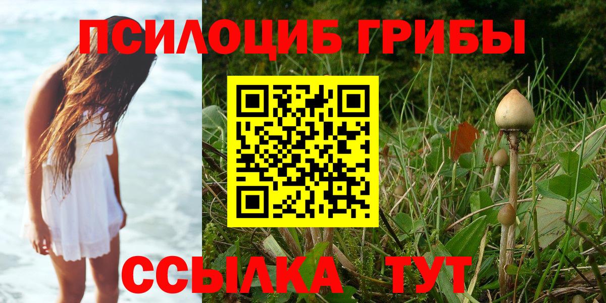 Псилоцибиновые грибы ЛСД  купить   Галлюциногенные грибы прущие грибы  Шахты  Вход с VPN 