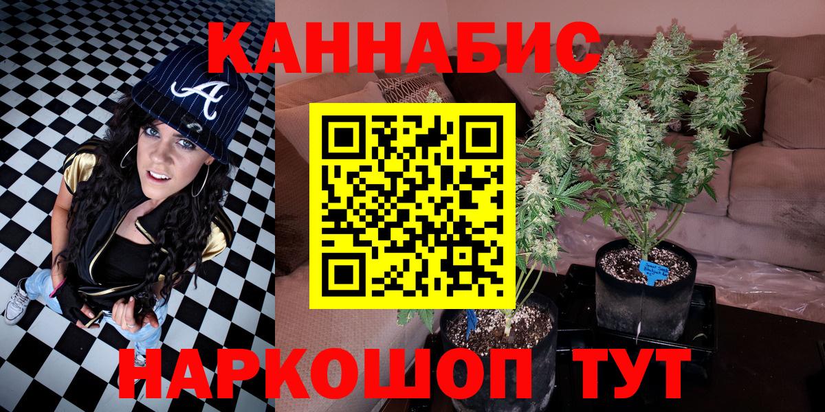 Каннабис SATIVA & INDICA Шахты